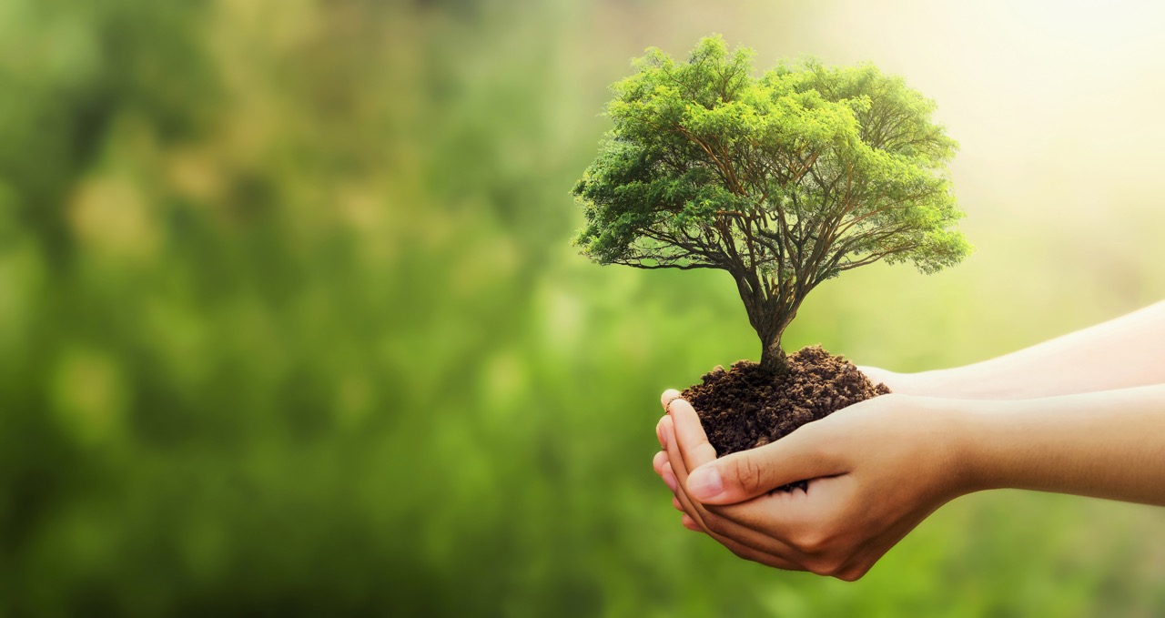 paperless processes